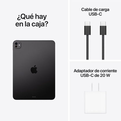 iPad Pro 11 M5 Negro espacial