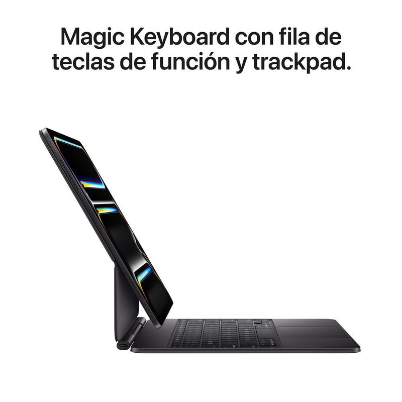 iPad Pro 13 M5 Negro espacial