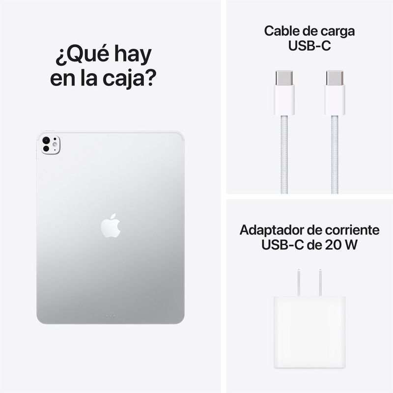 iPad Pro 13 M5 Plata